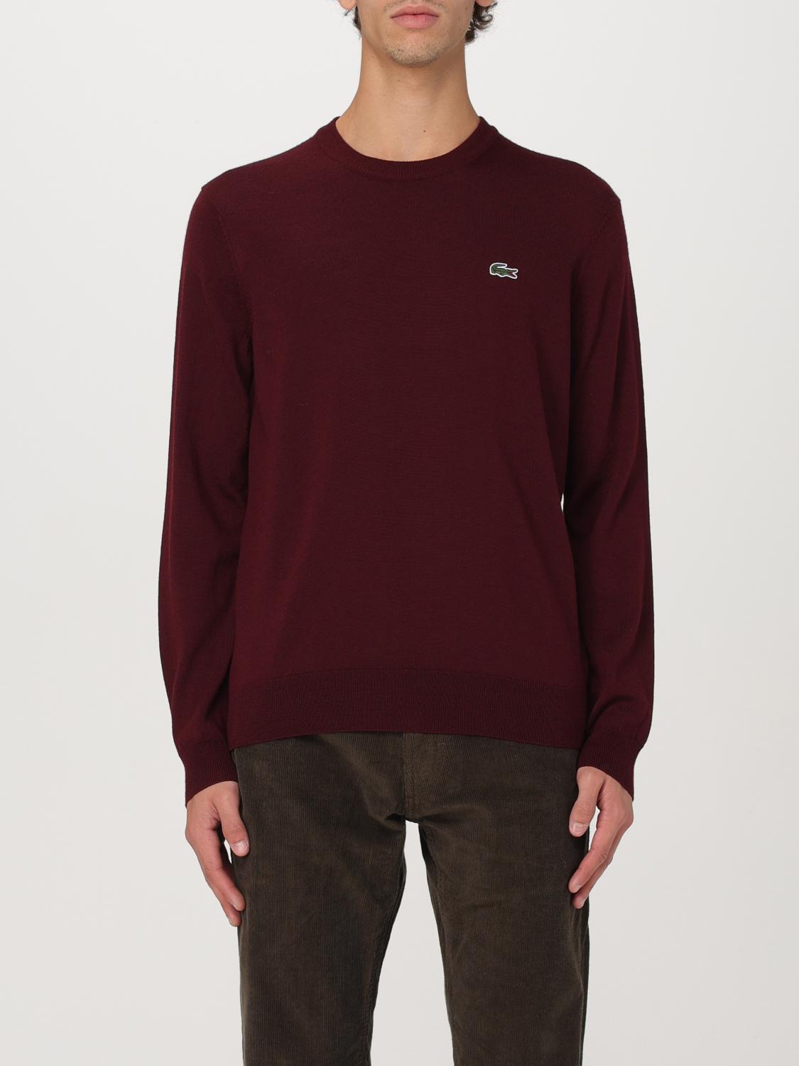 Shop Lacoste Sweater  Men Color Red In Rot