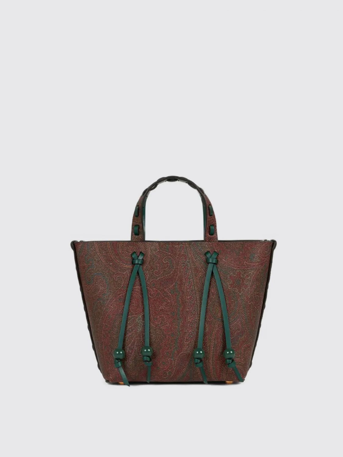 Mini Bag ETRO Woman color Brown