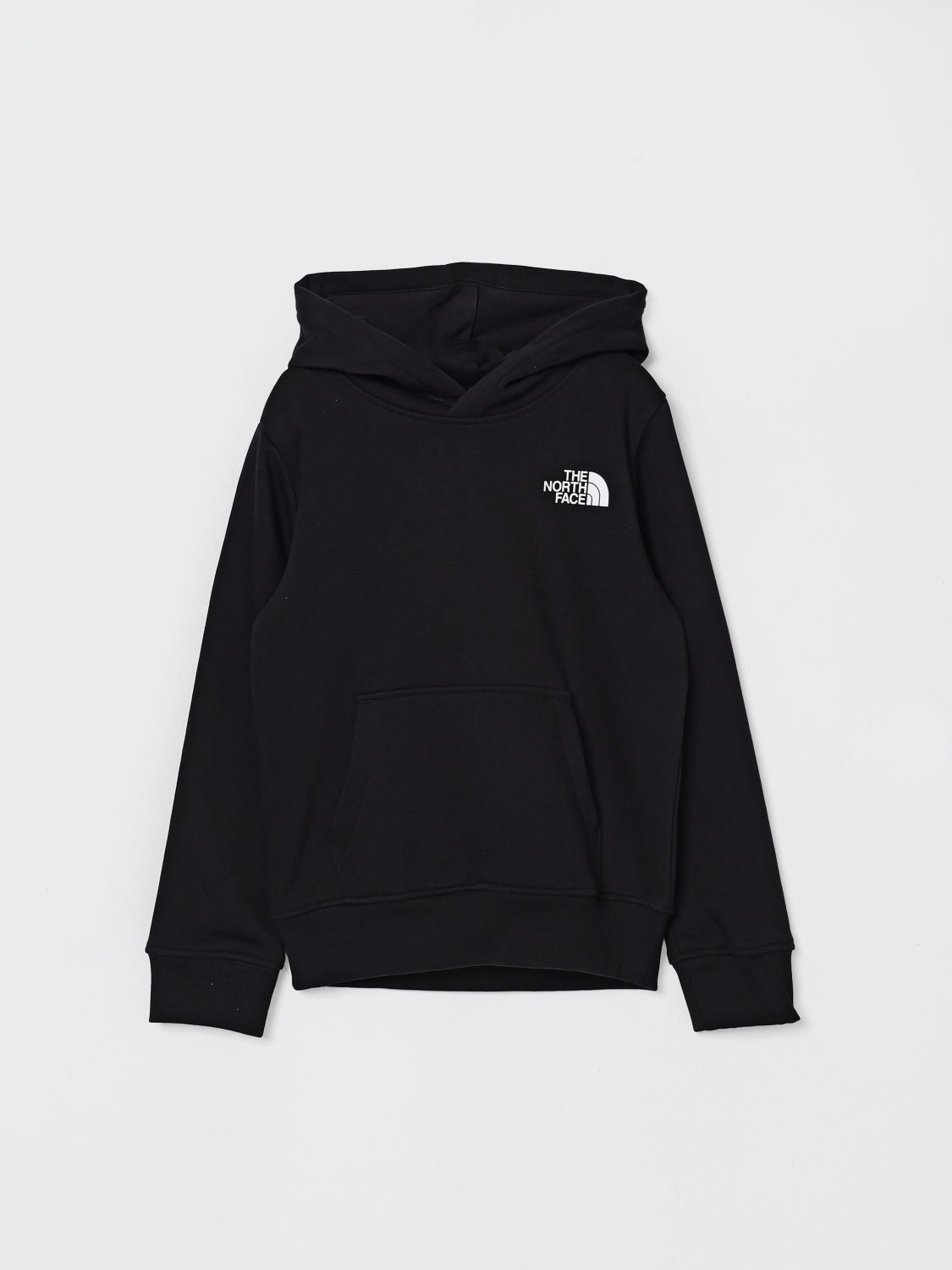 Felpa con cappuccio e logo The North Face