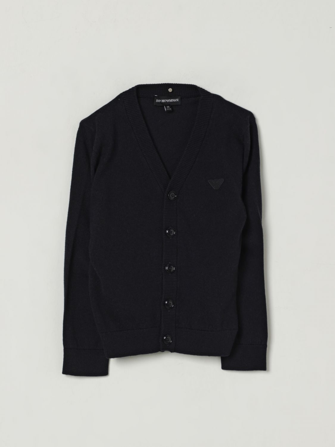 Emporio Armani Sweater Kids Color Navy In Black