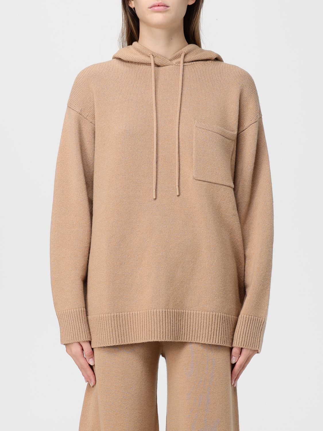Max Mara Wool And Cashmere Hoodie In Brown