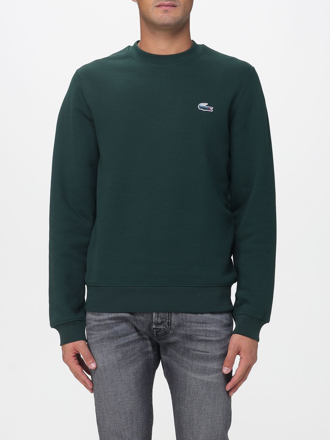 Lacoste Wool Crew Neck Sweater In Green