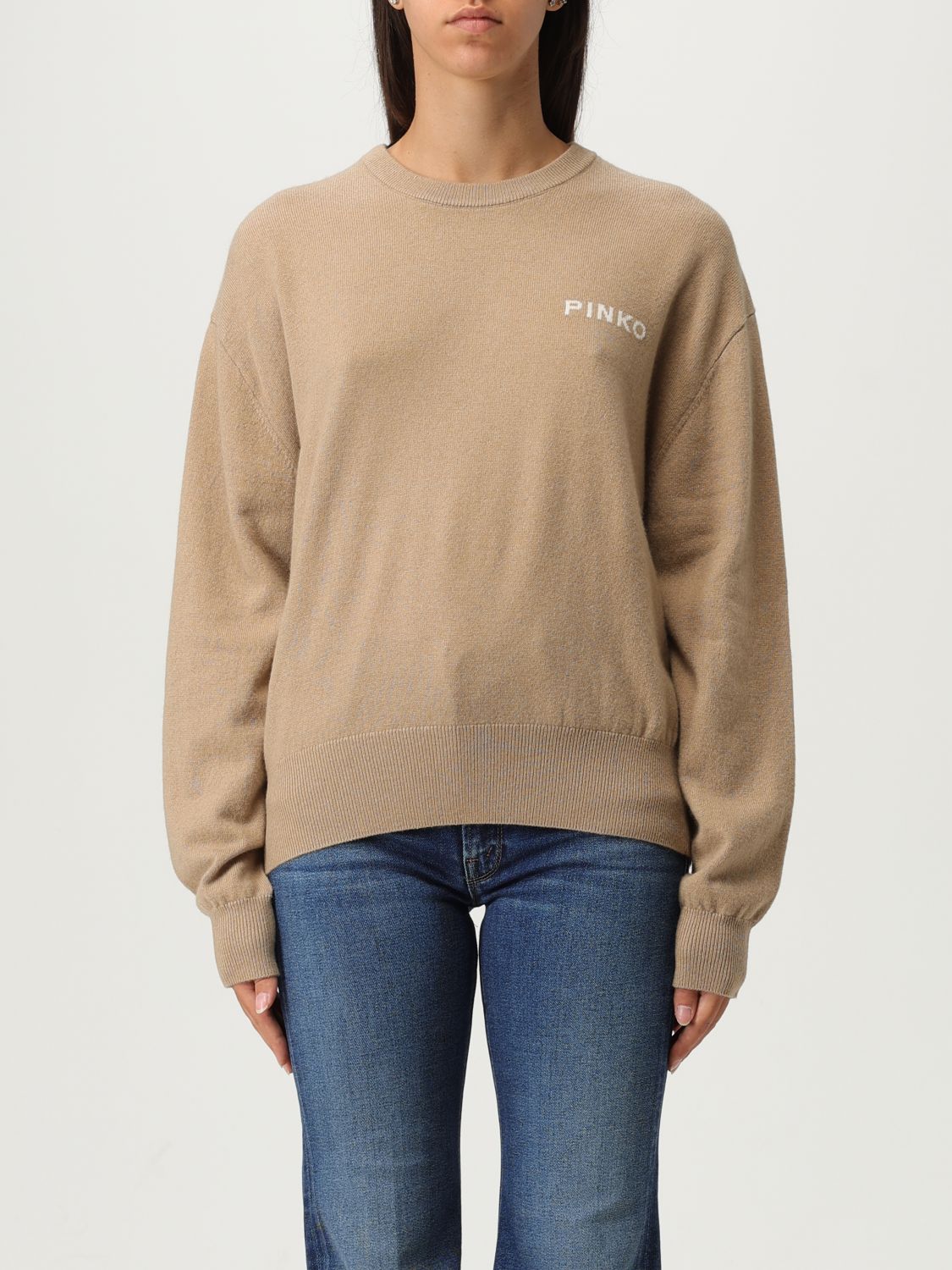 Pinko Crew Neck Knitwear Sweater With Logo Detail In Nude