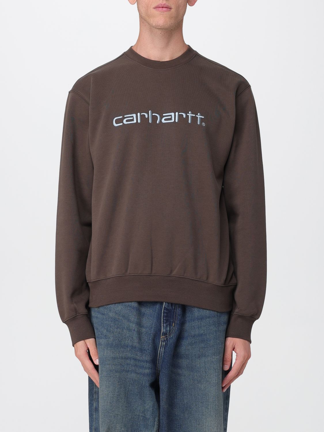 Carhartt Logo Sweatshirt In Multi