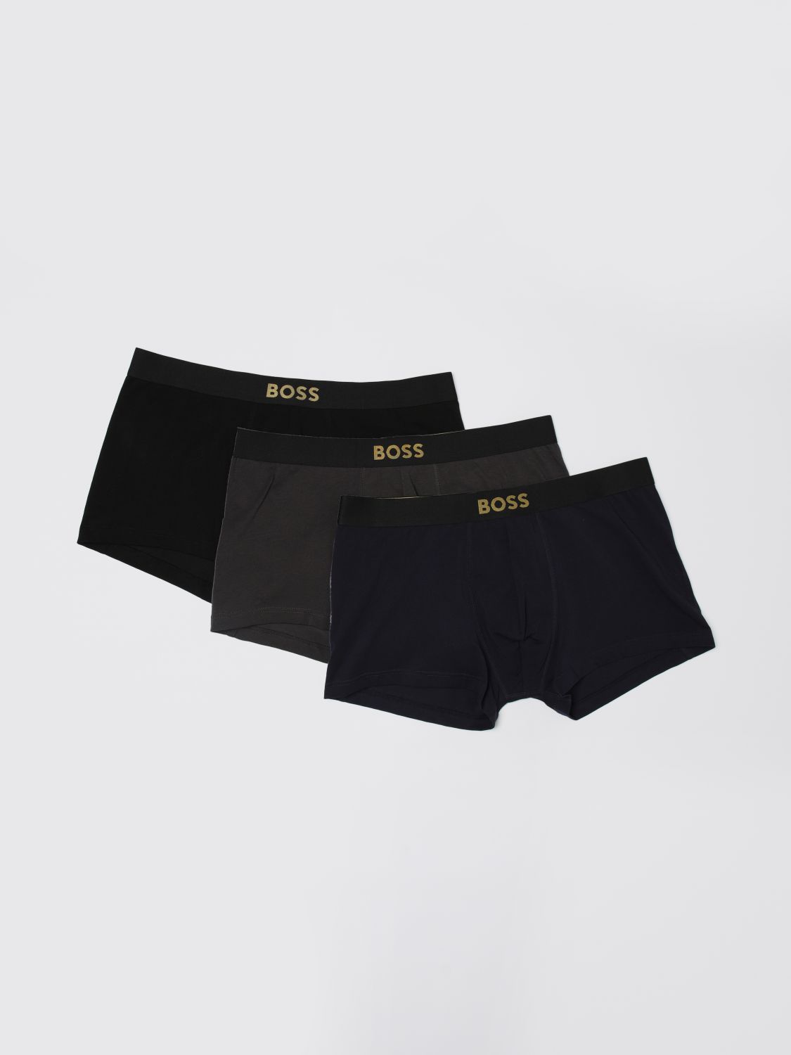 Underwear Boss Men Color Multicolor