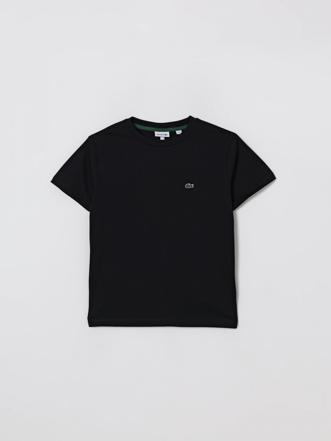 Lacoste Big Boys Short-sleeve Cotton Core T-shirt In Multi