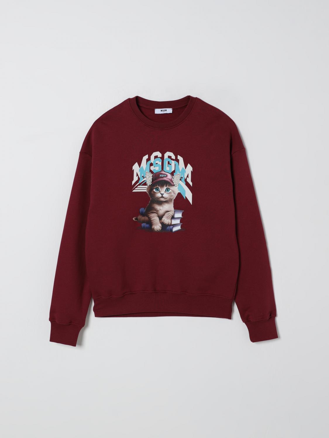 Msgm Cat-print Crew-neck Sweatshirt In Burgundy