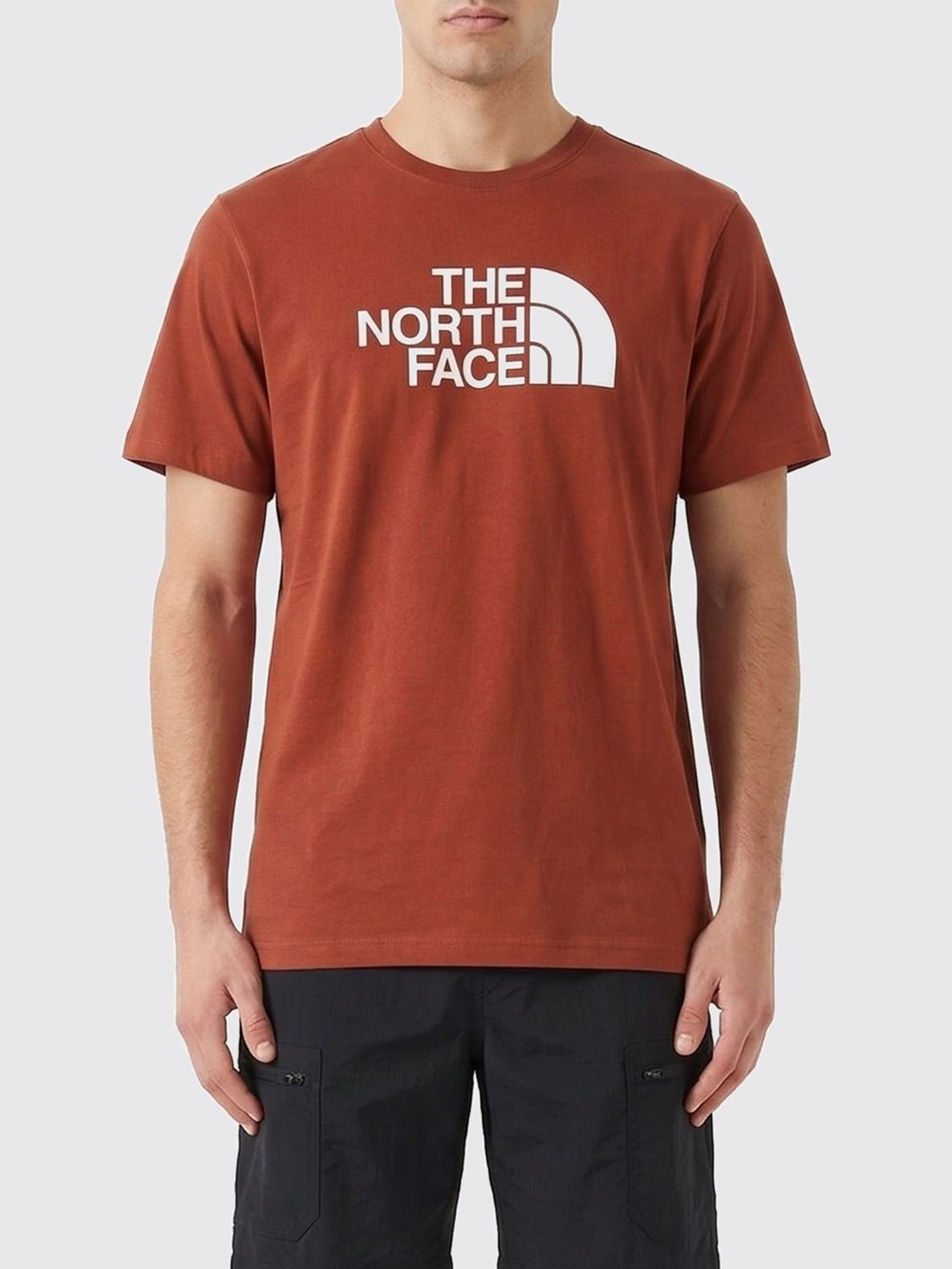 THE NORTH FACE T-Shirt Herren Farbe Grau