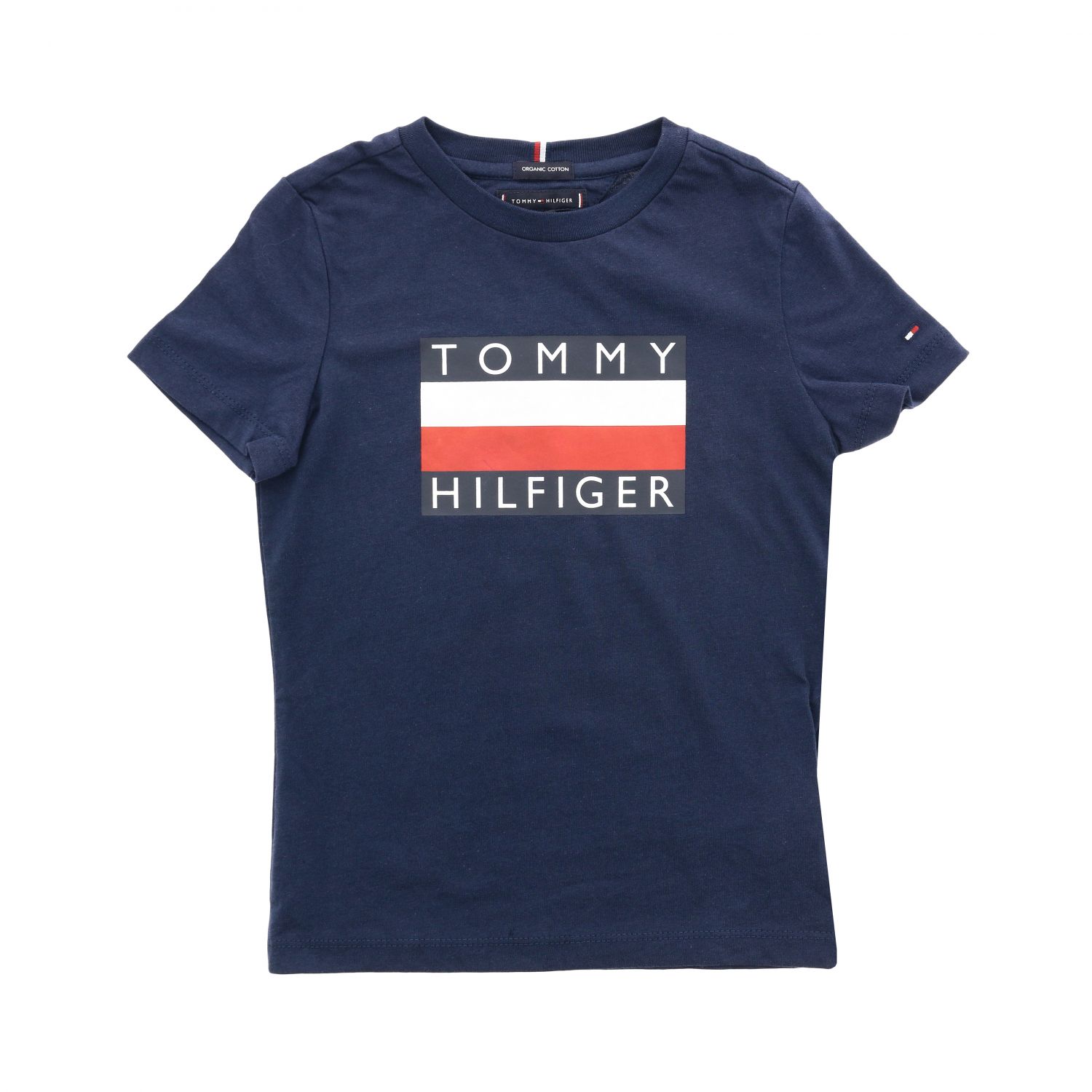 Футболка hilfiger. Футболка Tommy Hilfiger детские. Томми Хилфигер для мальчиков. Футболка Томми Хилфигер мужские белая с надписью Hilfiger. Томми Хилфигер футболка 12 лет синяя.