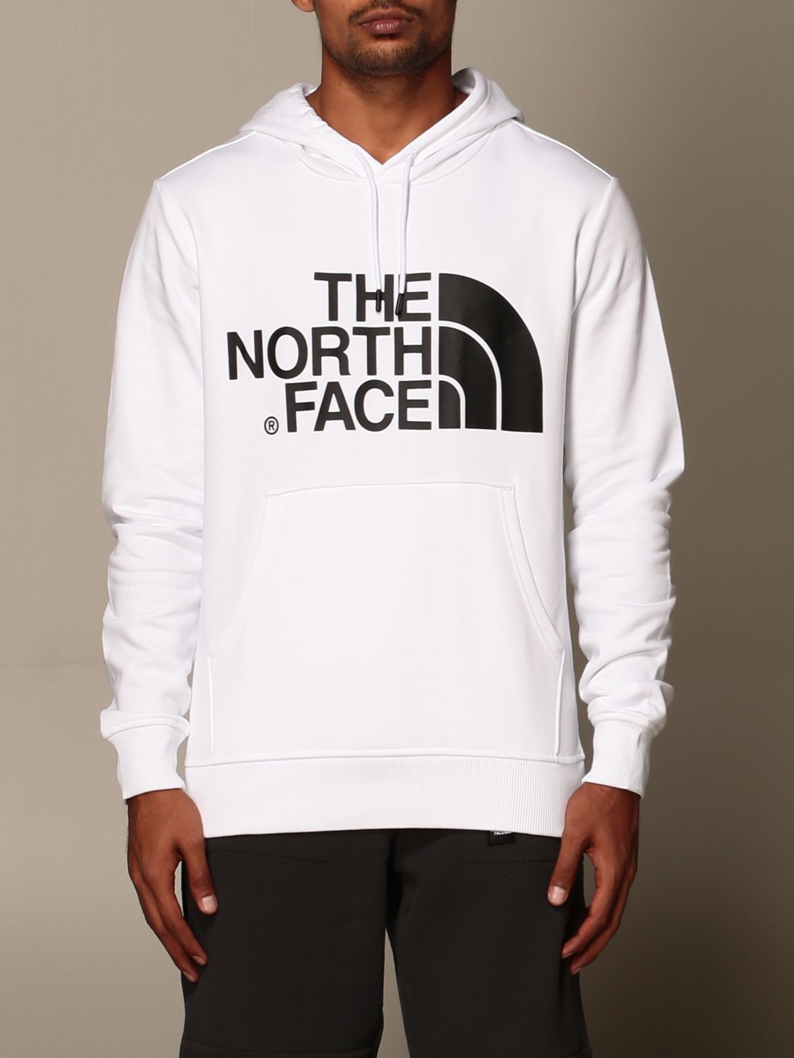 north face hoodie with logo on hood