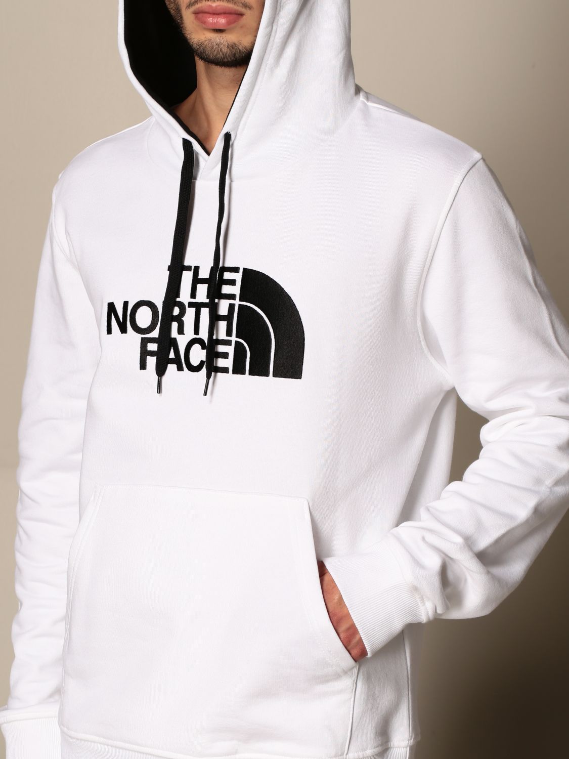 the north face hoodie with logo on hood