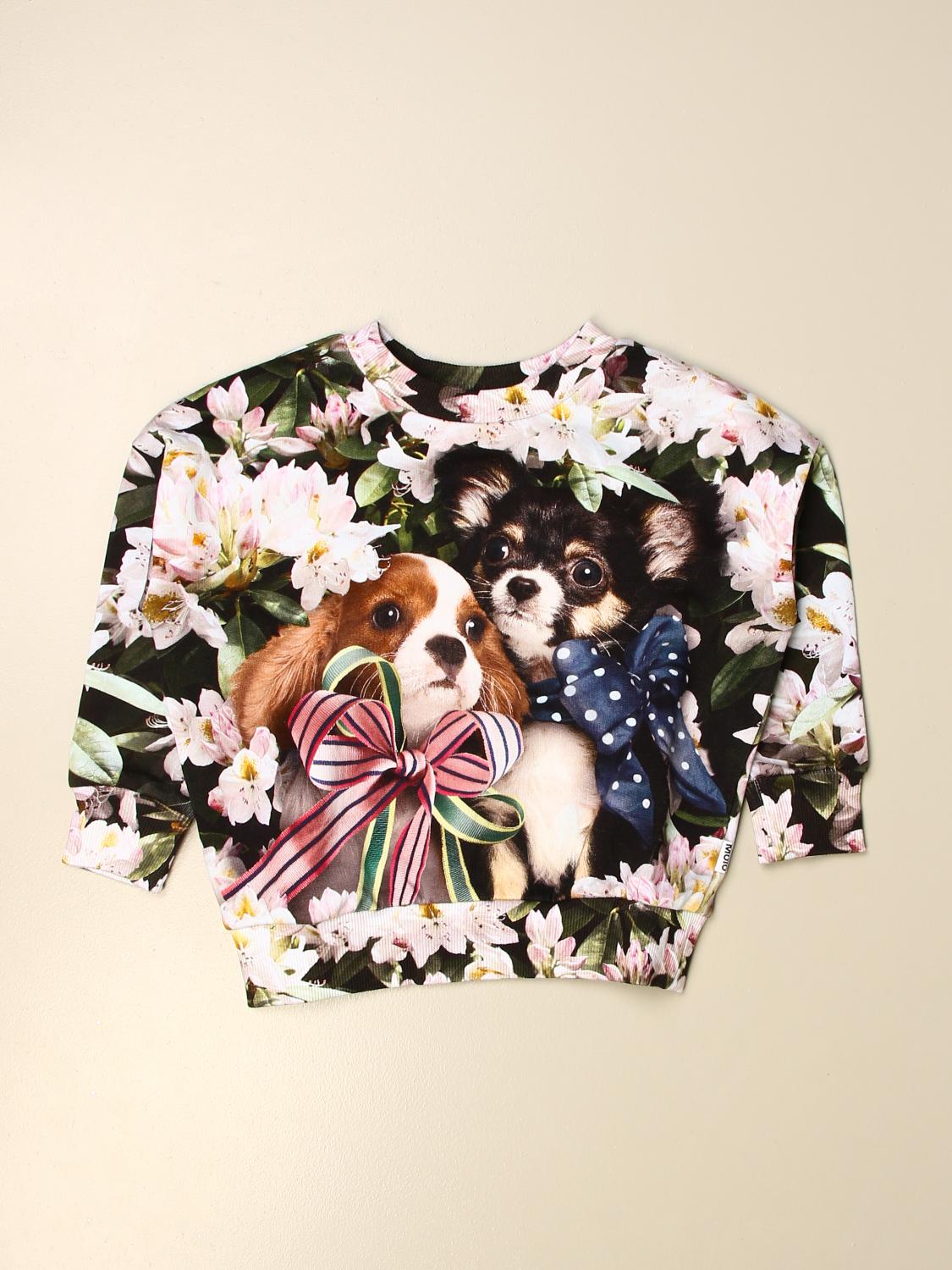 dog print sweater