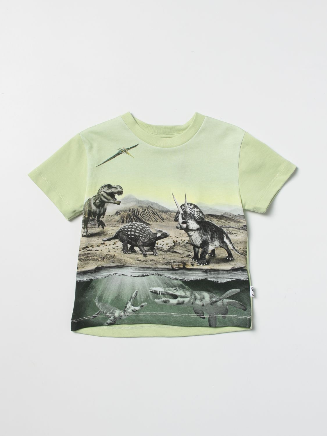 T恤 Molo: T恤 儿童 Molo 绿色 1