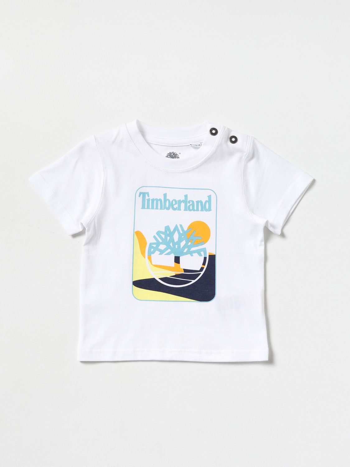 T-shirt Timberland: T-shirt Timberland in cotone con stampa grafica bianco 1