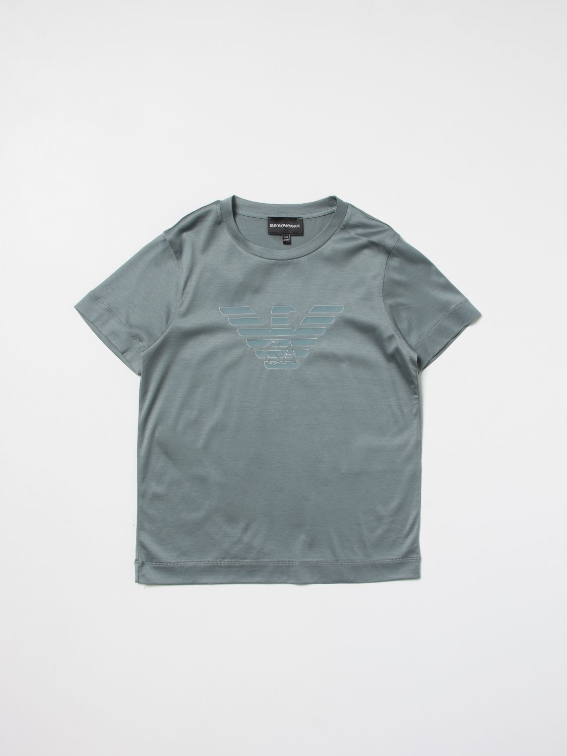 T-shirt Emporio Armani: Emporio Armani T-shirt with eagle logo grey 1