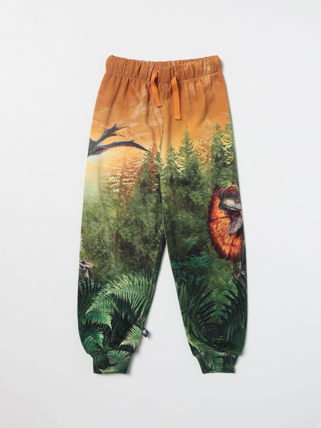 Trousers Molo: Simeon Molo x Jurassic World trousers with dinosaur print multicolor 1