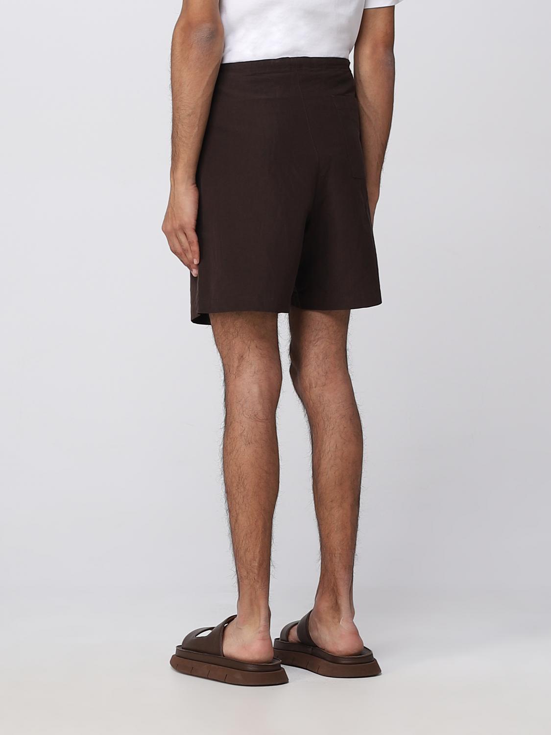 AURALEE short for man Brown Auralee short A23SP03LW online on