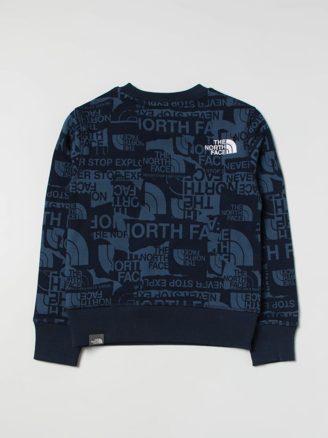 Pullover The North Face: The North Face Jungen Pullover blau 2