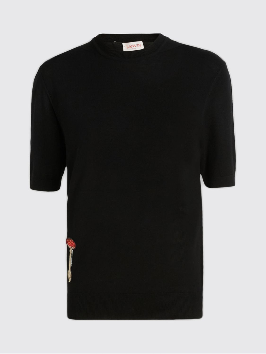 Lanvin Sweater  Woman Color Black