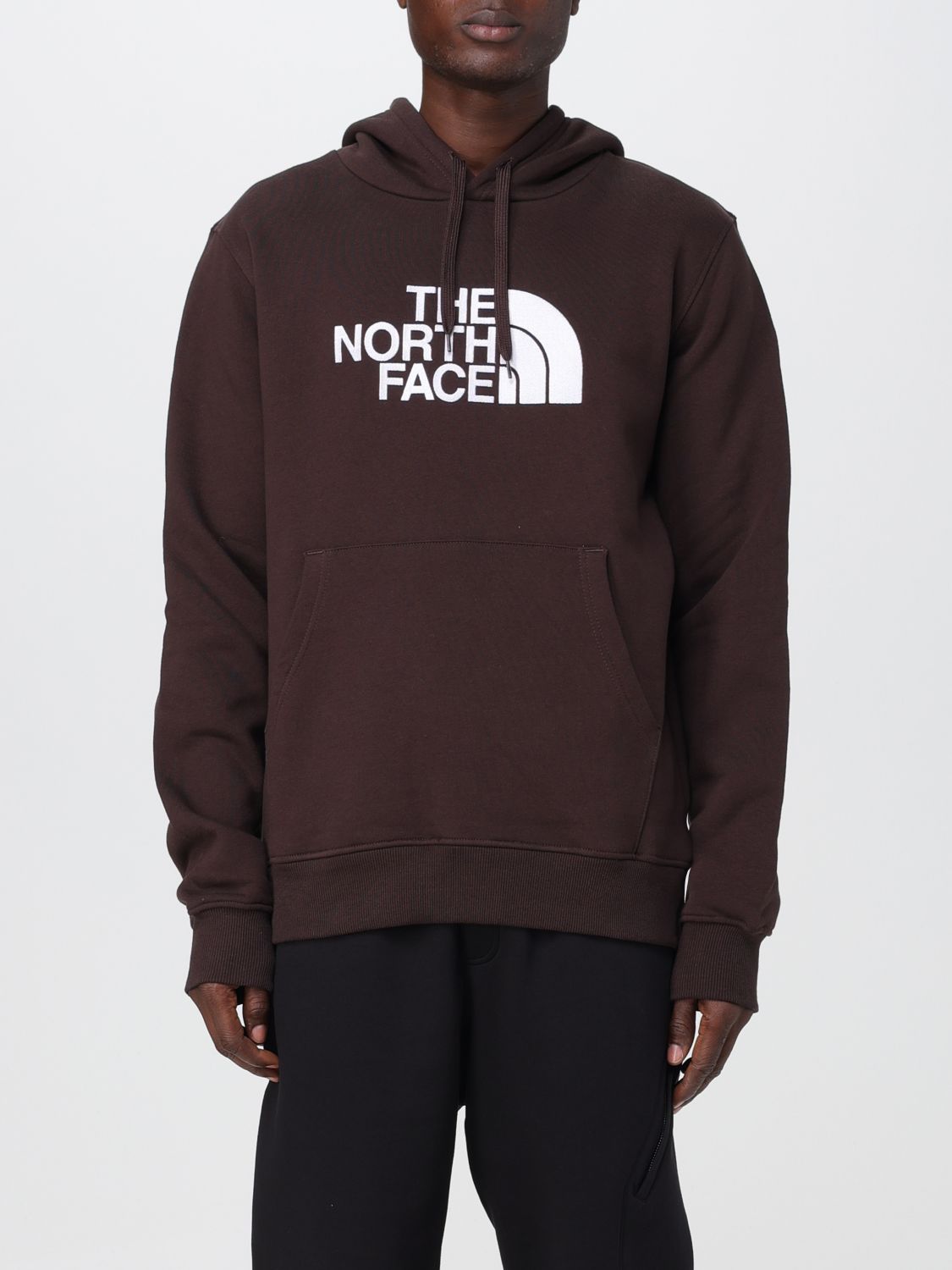 The North Face 卫衣  男士 颜色 棕色 In Brown