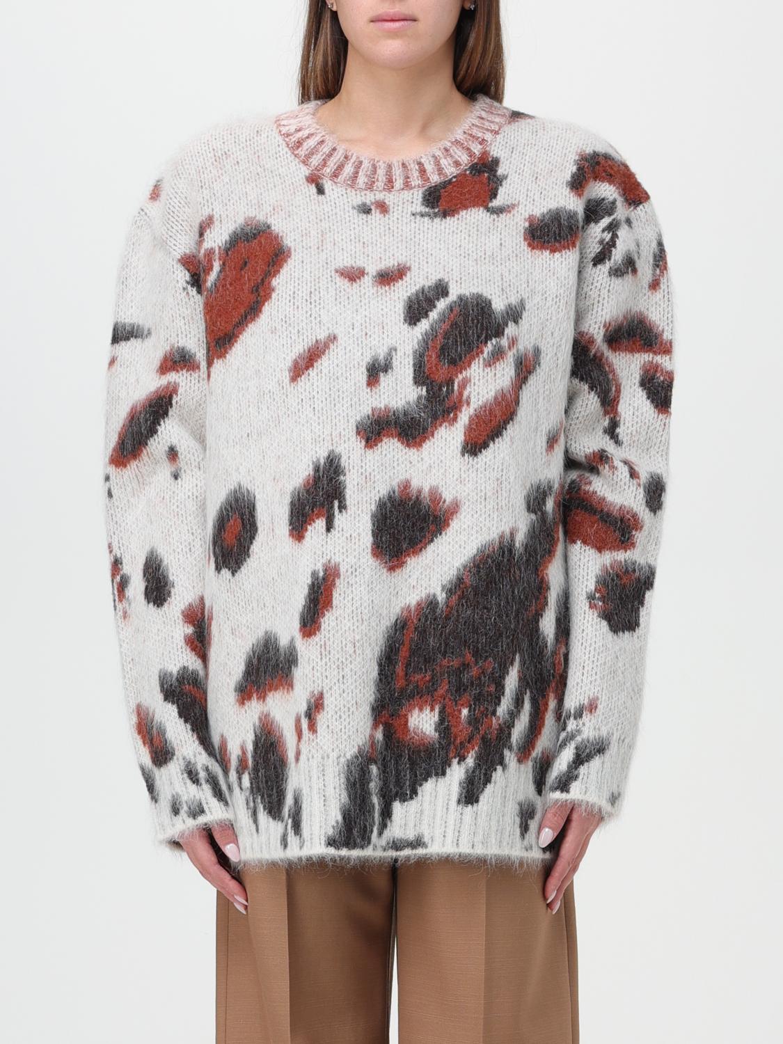 Stella Mccartney Horse Brushed Jaquard Jumper In Multicolor