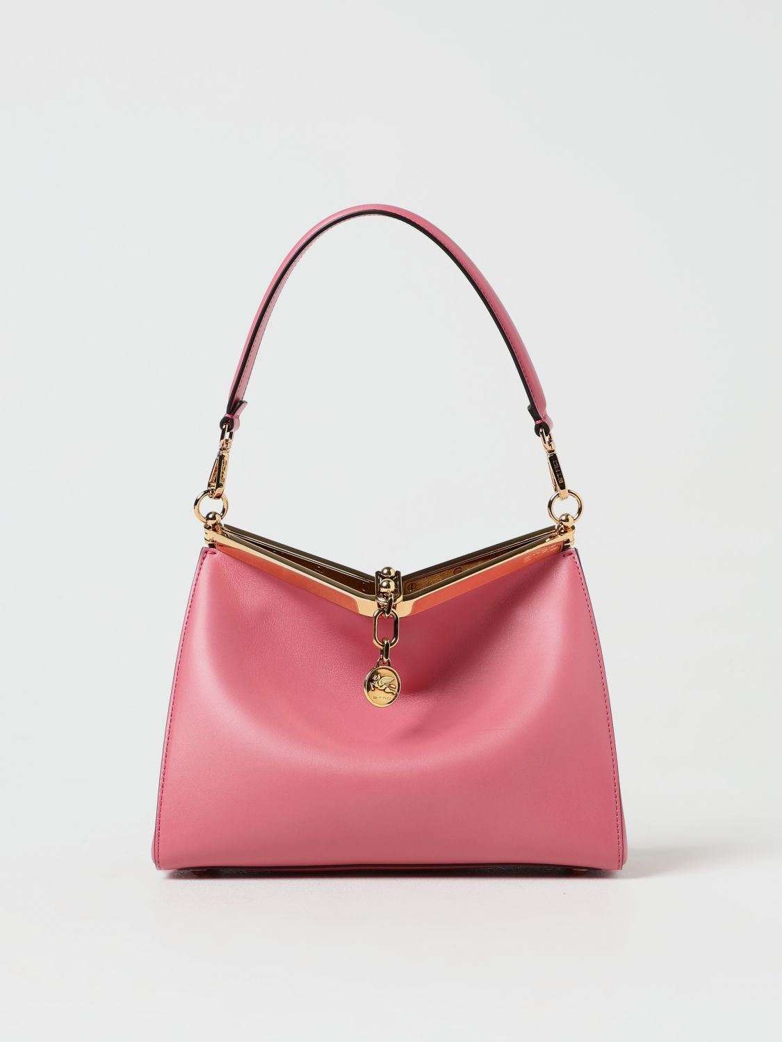 Etro Handbag  Woman Color Pink