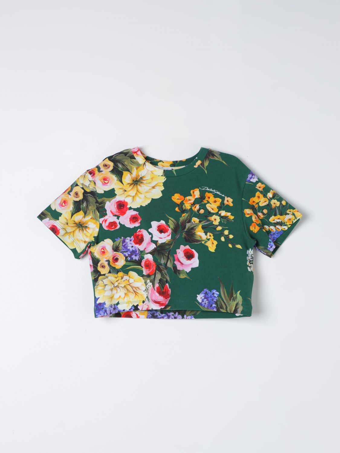 Dolce & Gabbana T-shirt  Kids Color Multicolor