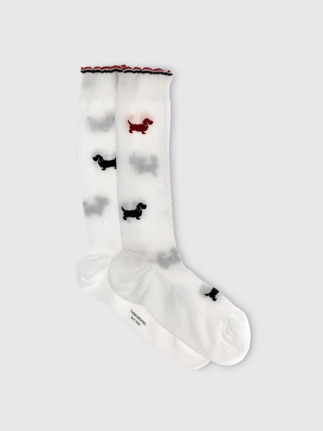 Shop Thom Browne Socks  Woman Color White