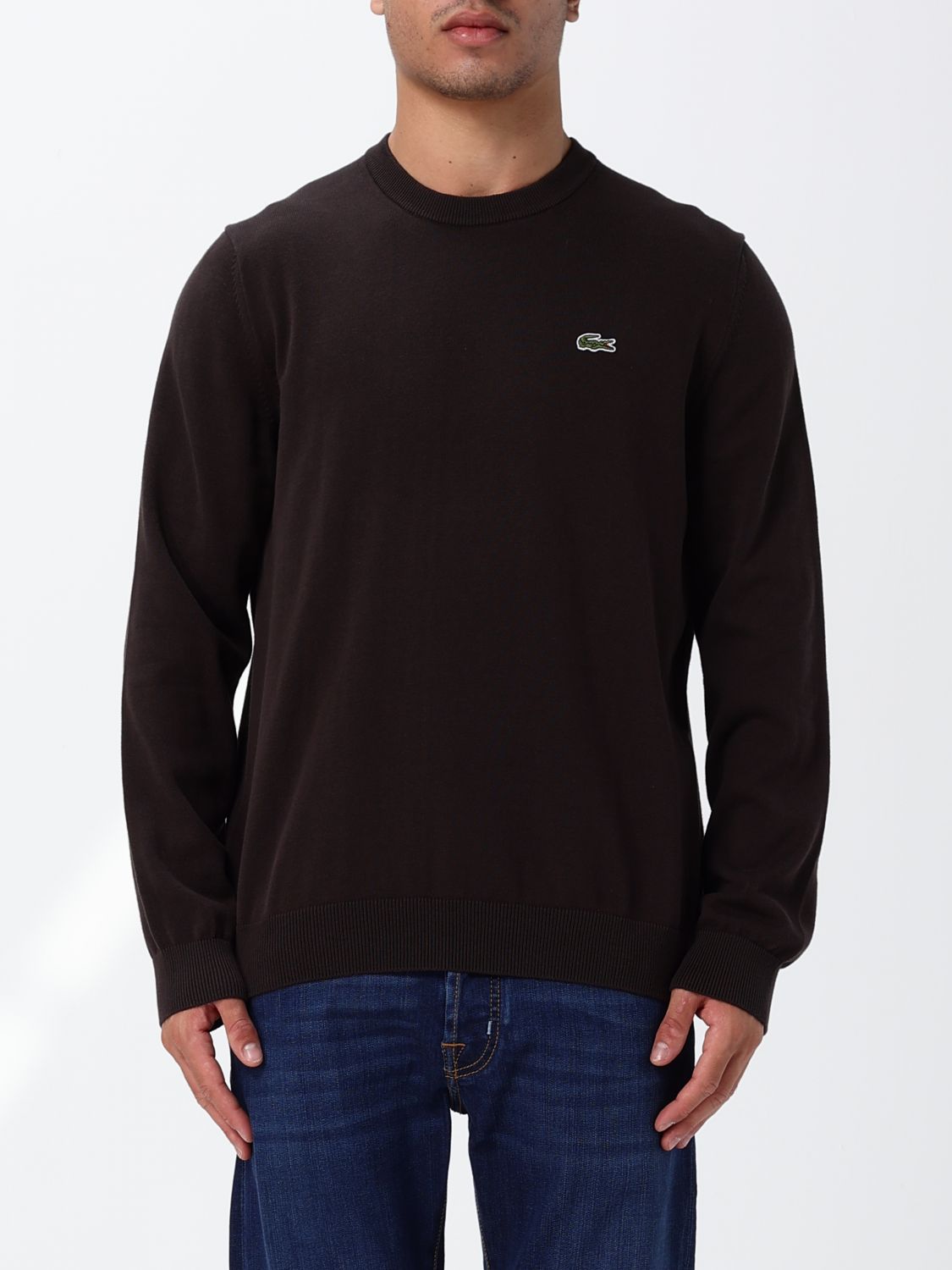 LACOSTE Maglia a girocollo con mini logo in cotone