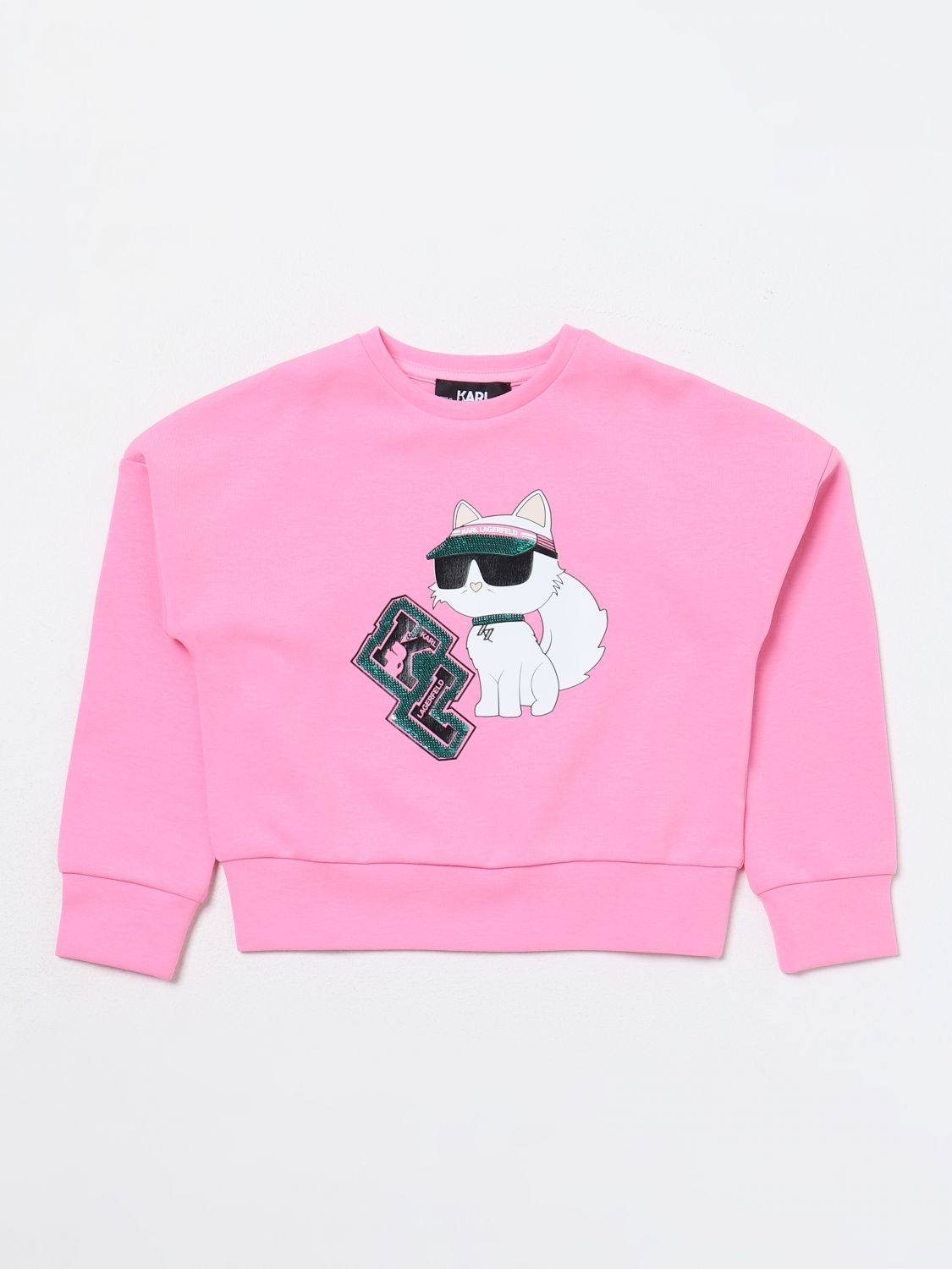 Karl Lagerfeld Sweater  Kids Kids Color Pink