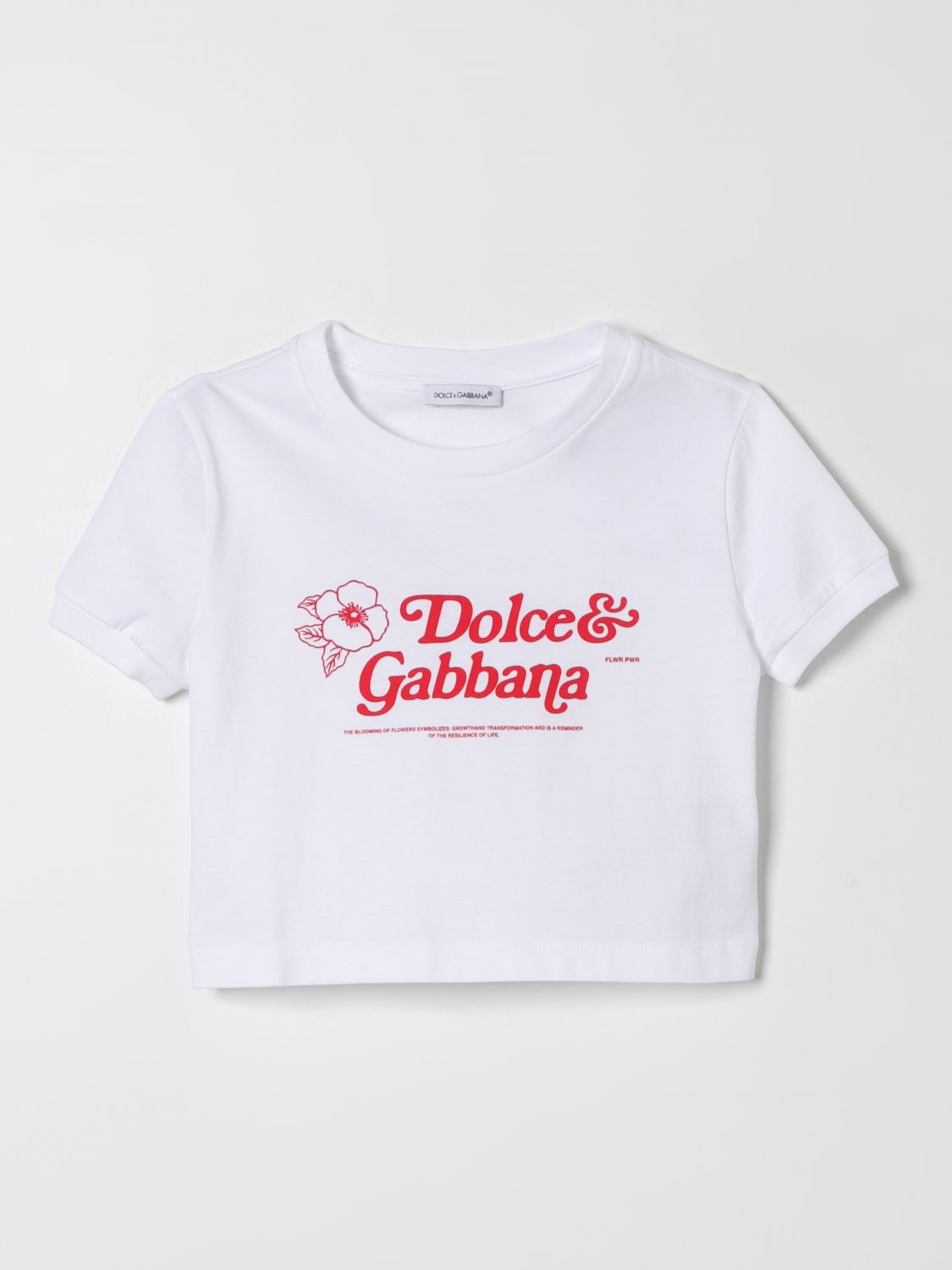 Dolce & Gabbana Kids' T-shirt T-shirt In White