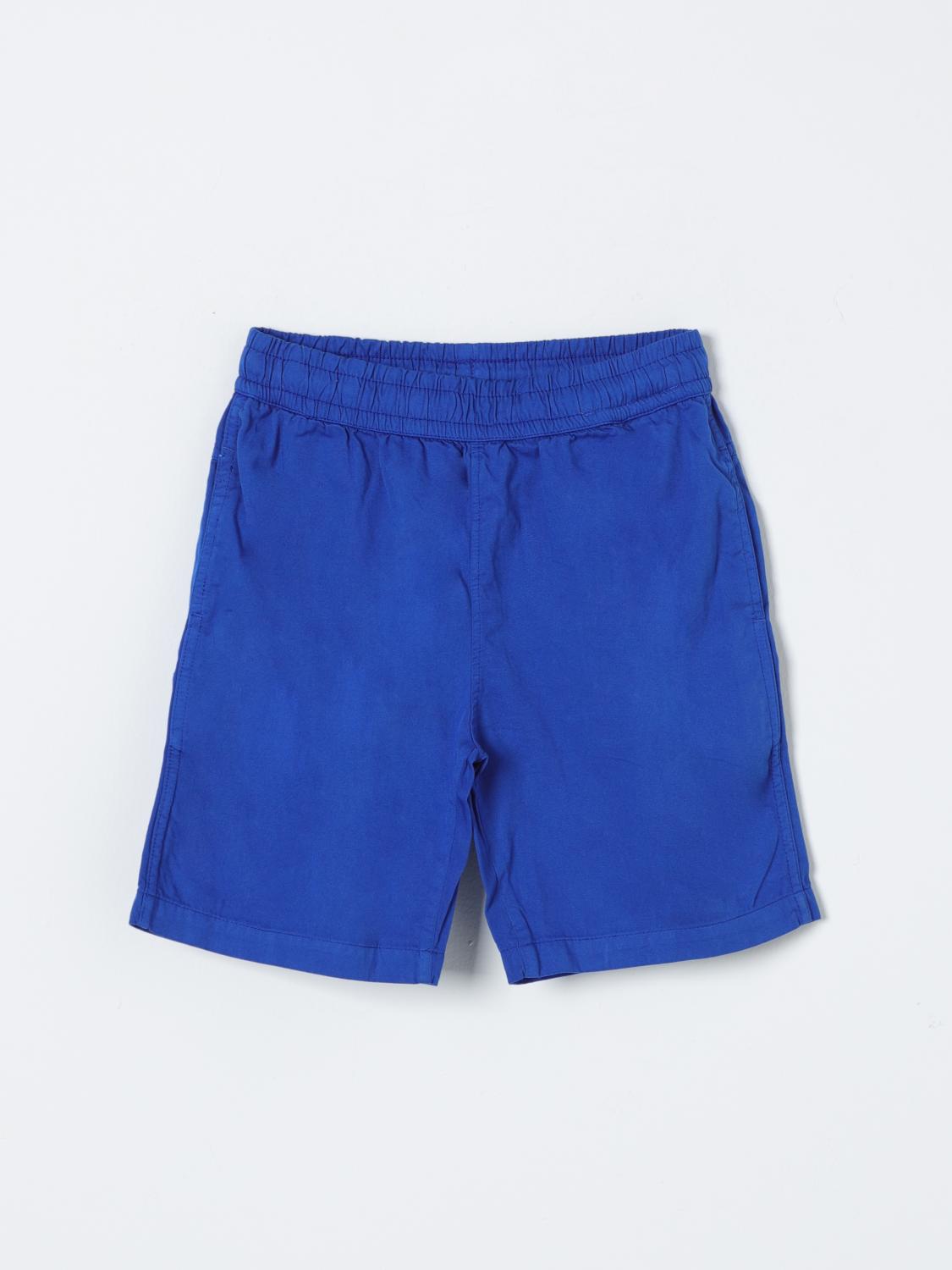 Shop Molo Shorts  Kids Color Blue