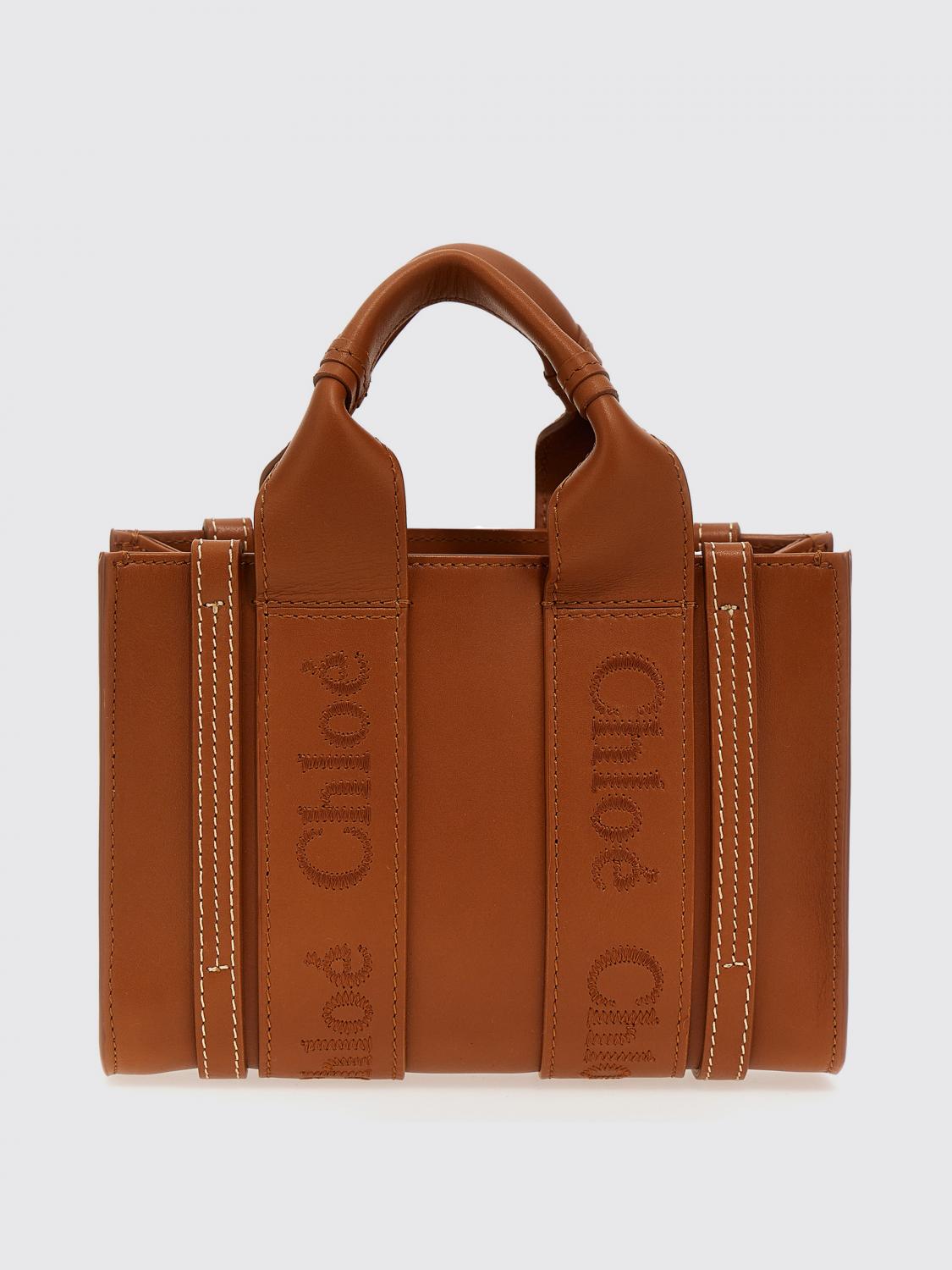 Shop Chloé Mini Bag  Woman Color Brown In 棕色