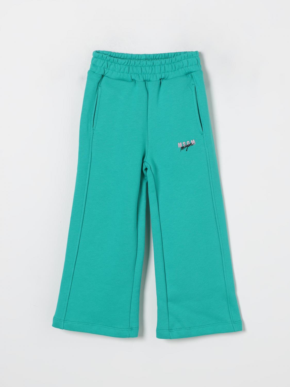 Shop Msgm Pants  Kids Kids Color Green In Grün