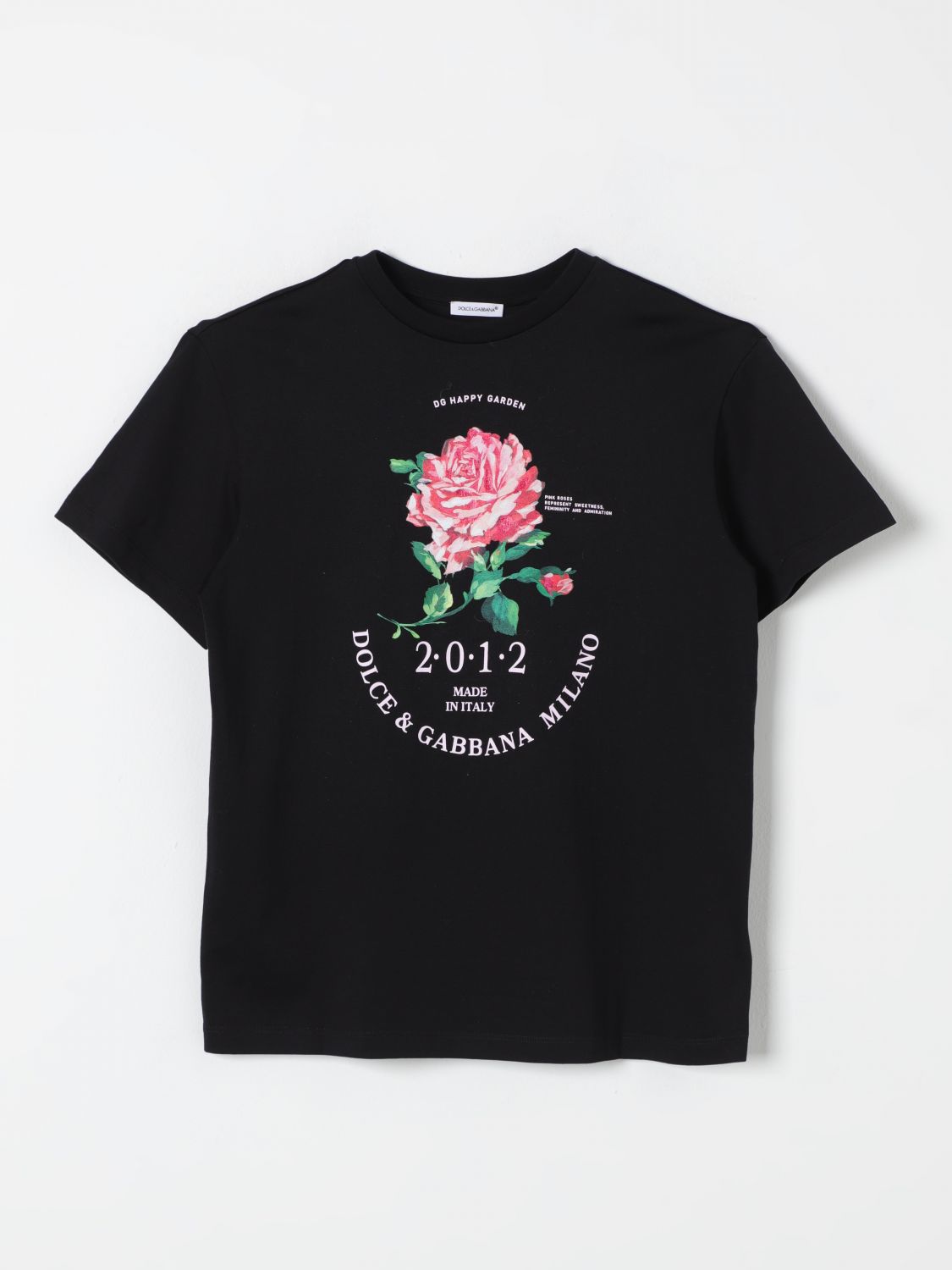 Shop Dolce & Gabbana T-shirt  Kids Color Black In Schwarz