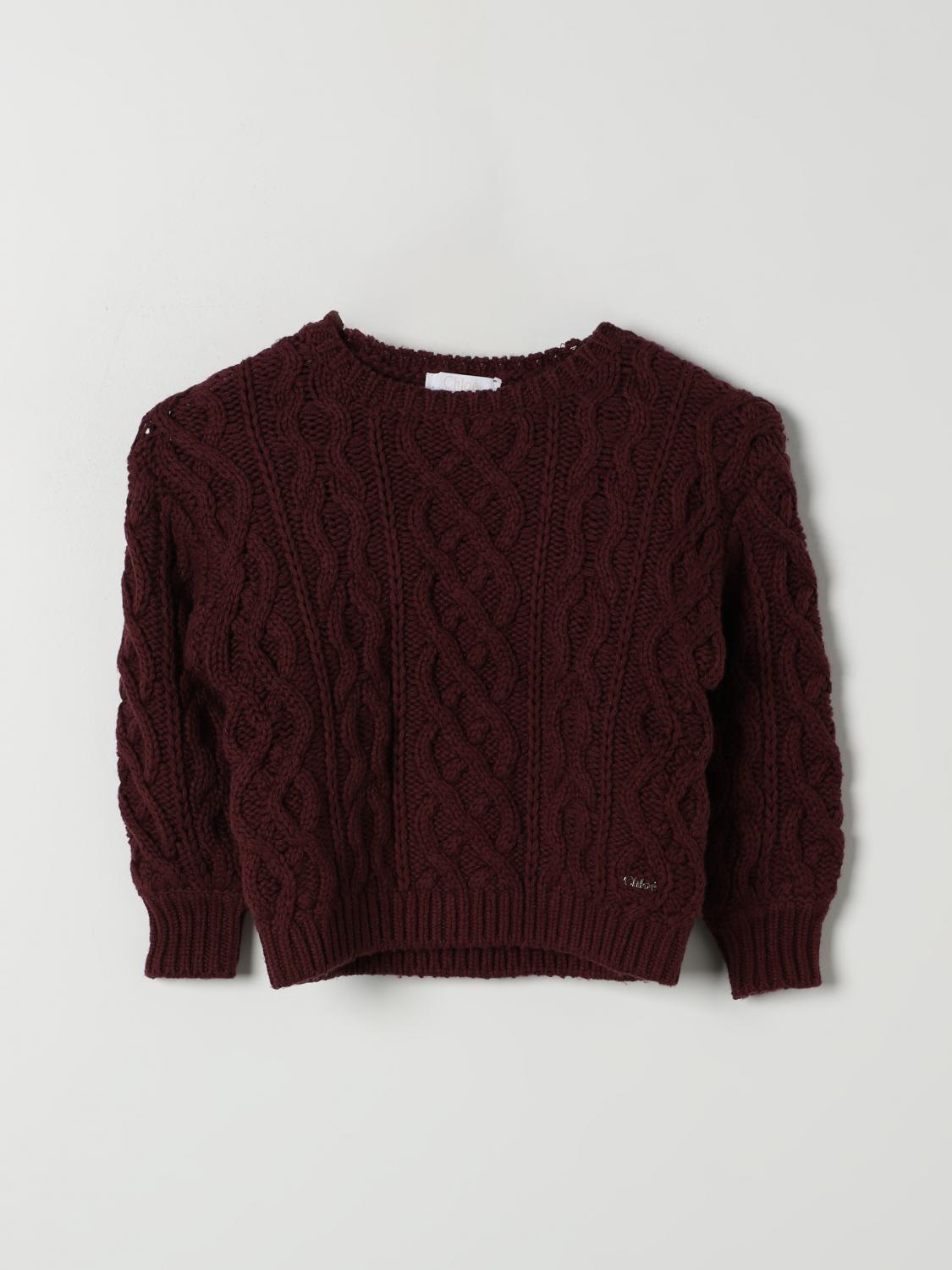 Shop Chloé Sweater  Kids Color Brown In Braun