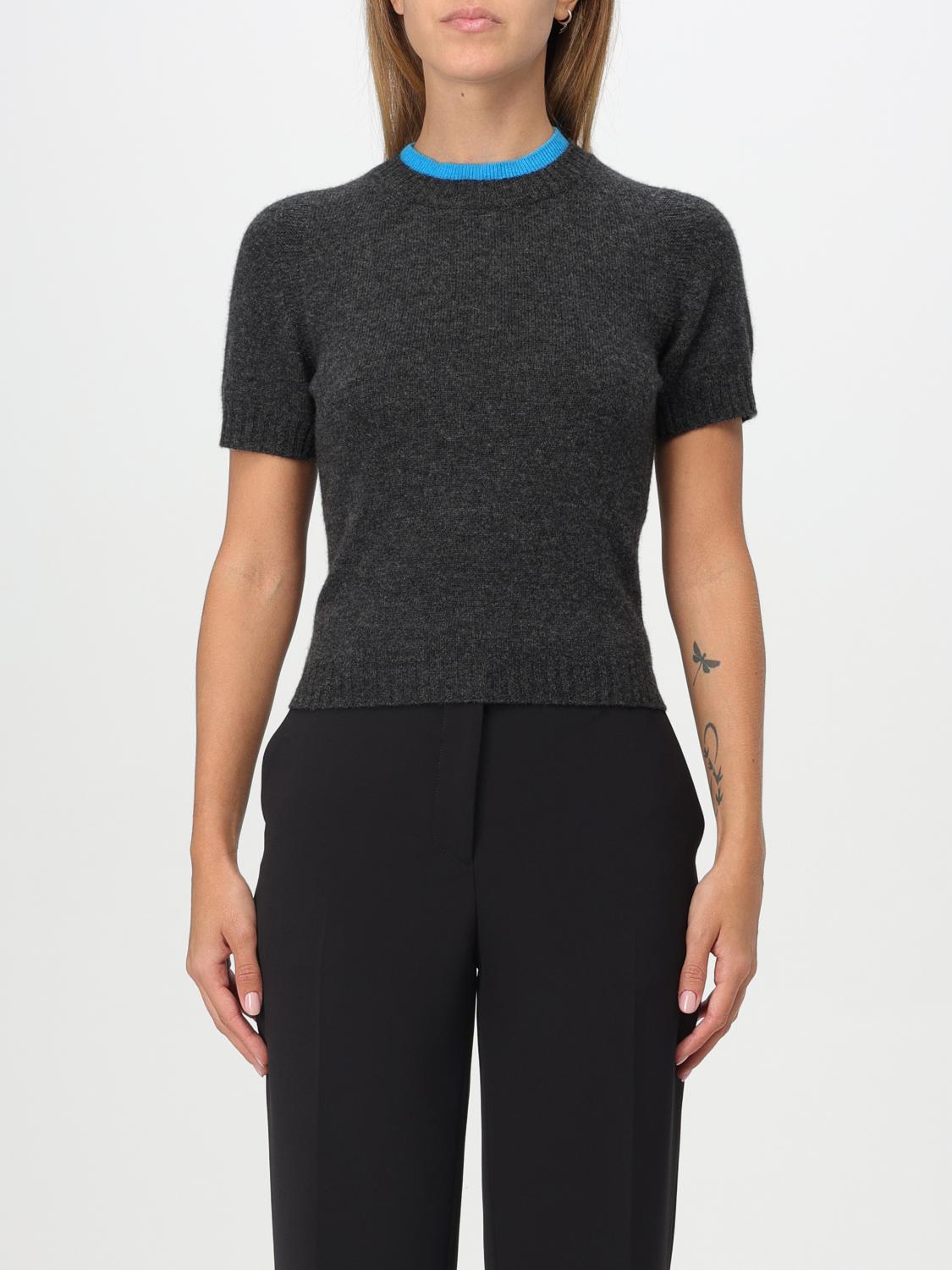 Pinko Savannah Sweater In Grau