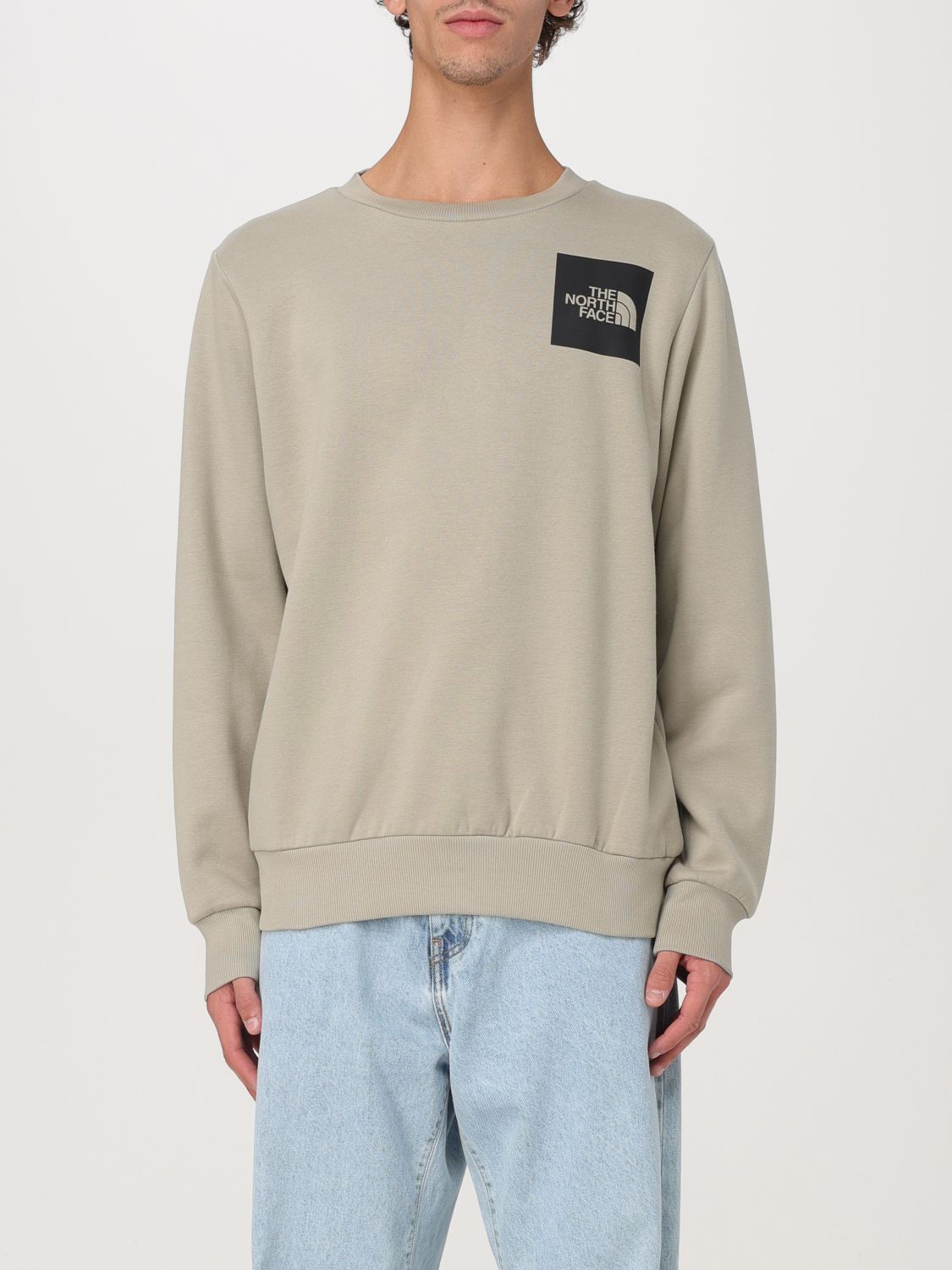 Shop The North Face Sweater  Men Color Grey In Grau