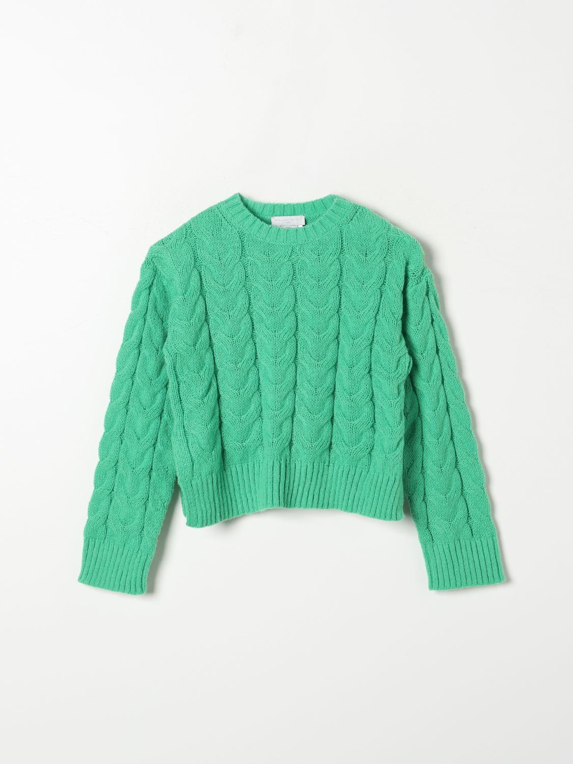 Shop Stella Mccartney Sweater  Kids Kids Color Green In Grün