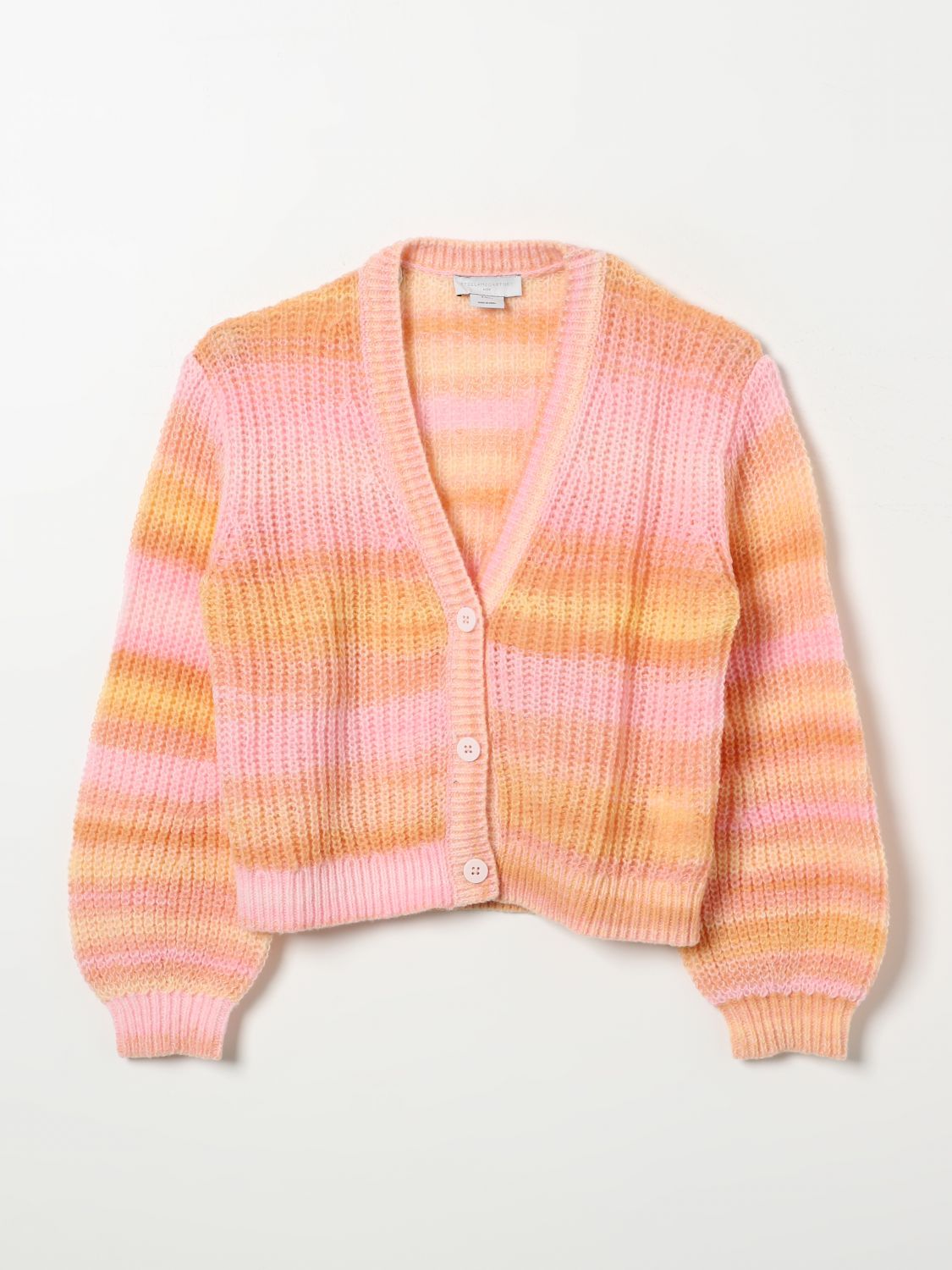 Shop Stella Mccartney Sweater  Kids Kids Color Multicolor In Bunt