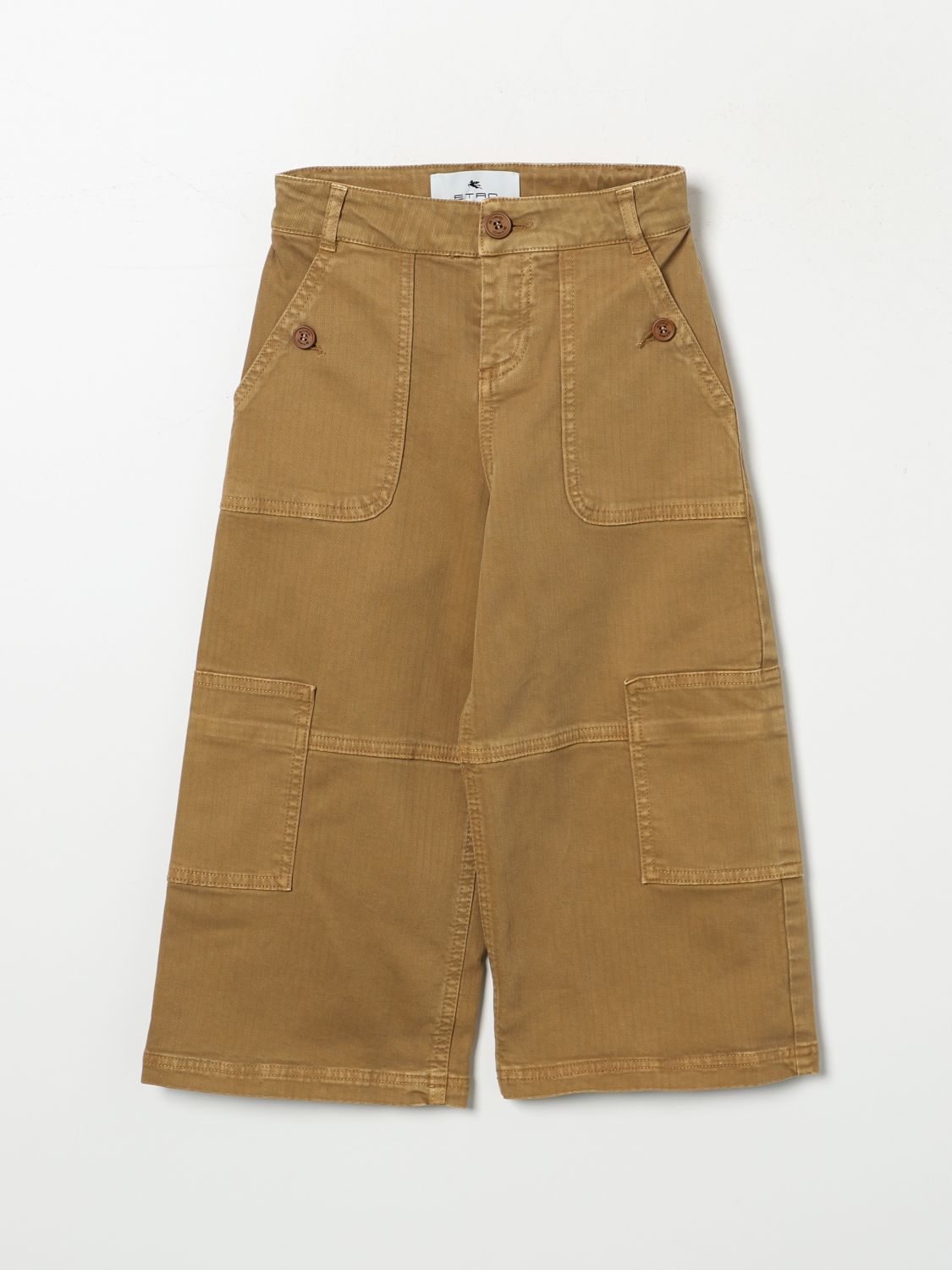 Etro Pants Kids Color Brown In Braun