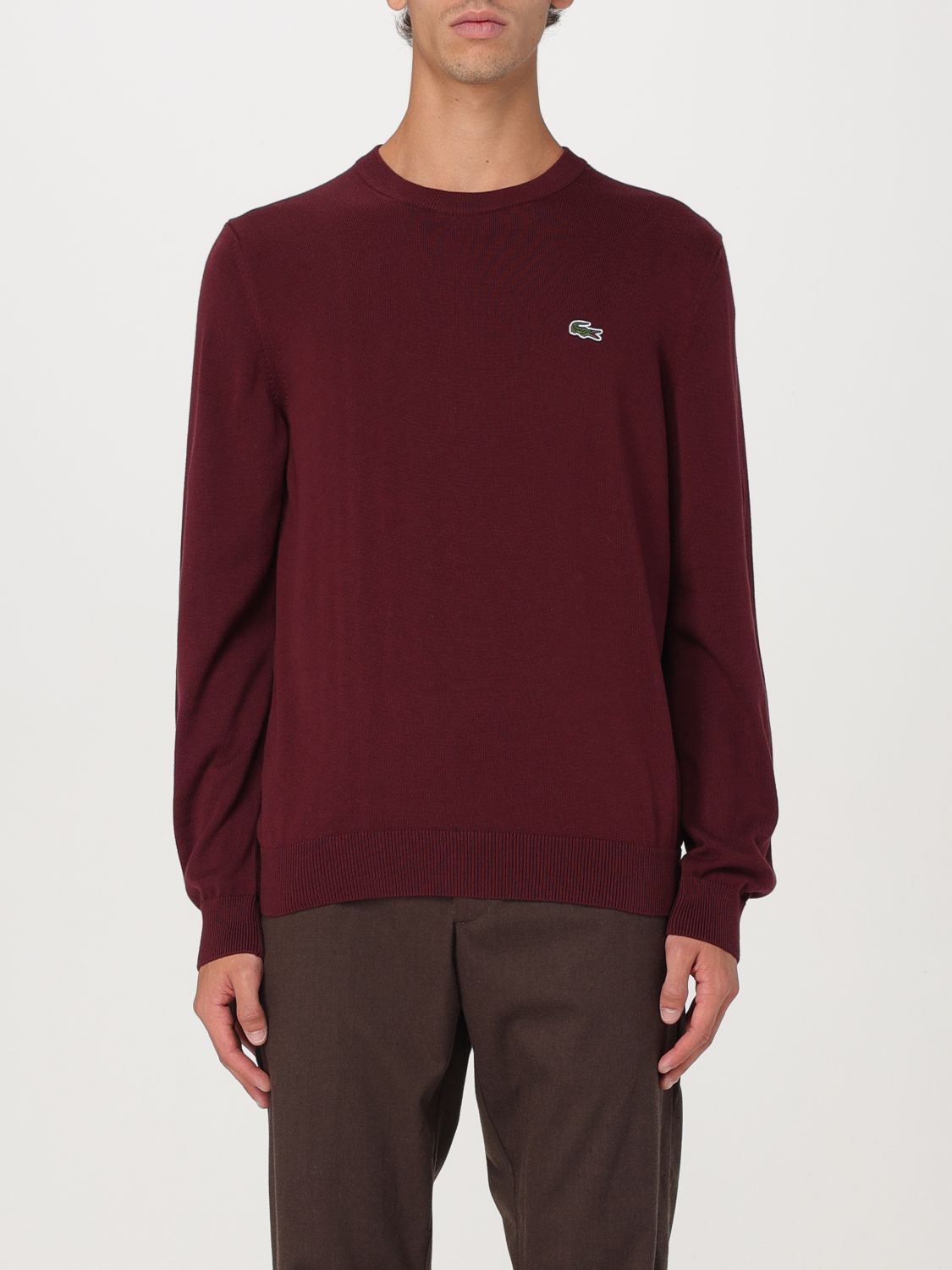 Shop Lacoste Sweater  Men Color Burgundy In Burgunderrot