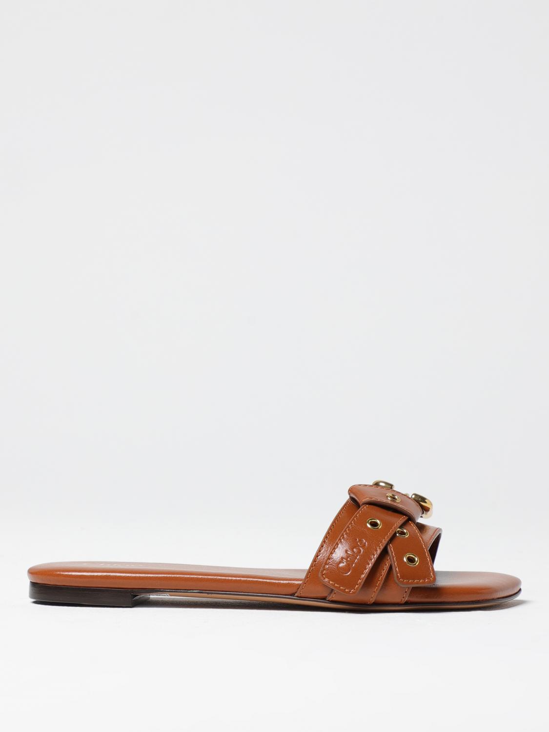 Chloé Mae Flat Mules In Brown