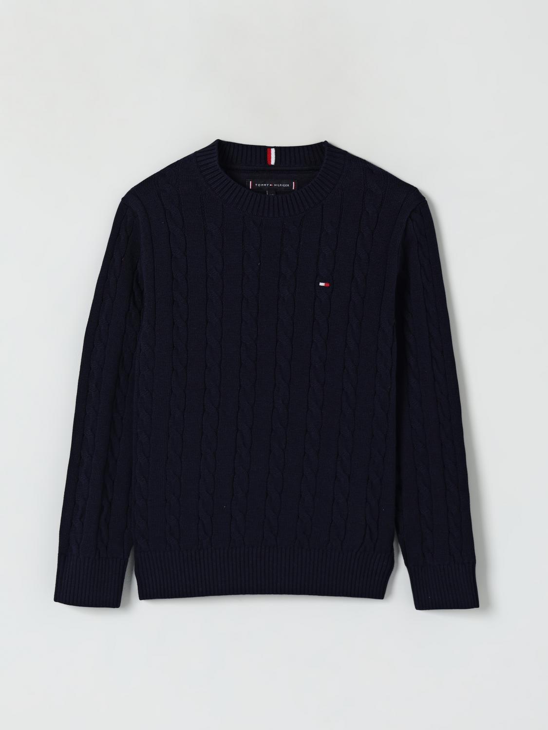 Tommy Hilfiger Sweater Kids Color Blue