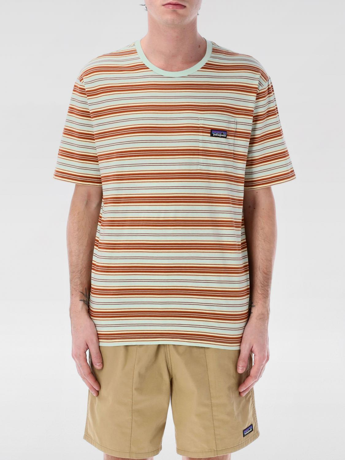 Patagonia Daily Striped Pocket T-shirt In Multicolor