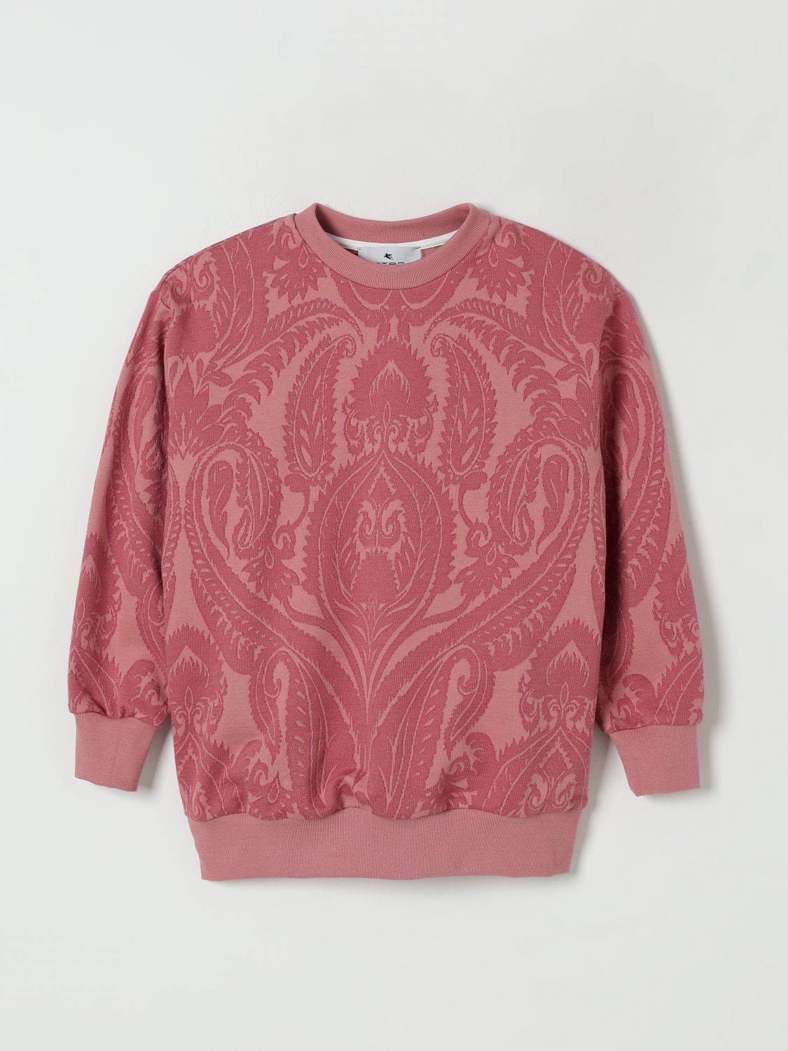 Etro Sweater Kids Color Pink