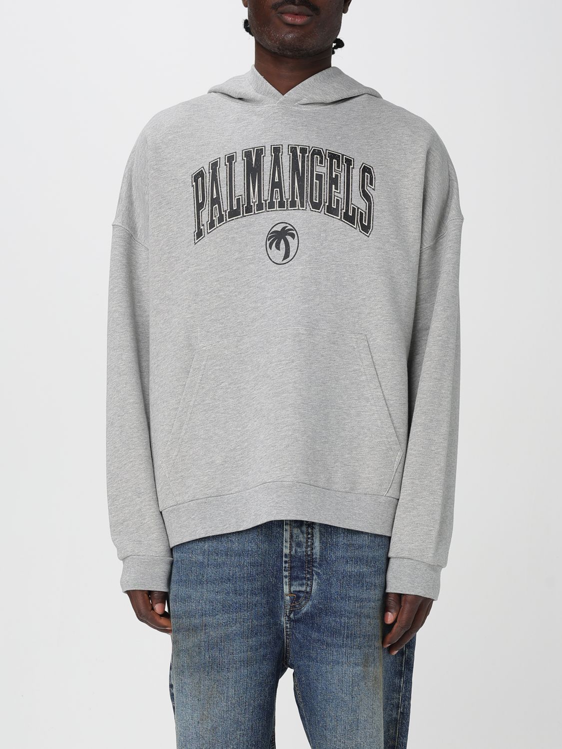 Palm Angels College Palm Logo Printed Hoodie In Gray