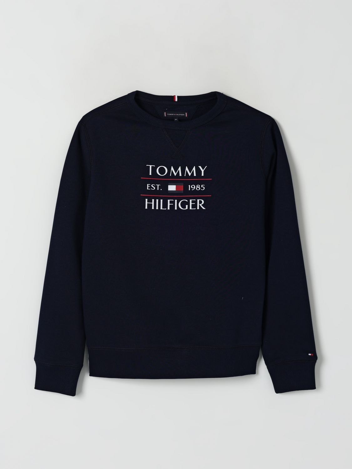 Tommy Hilfiger Sweater  Kids Color Blue