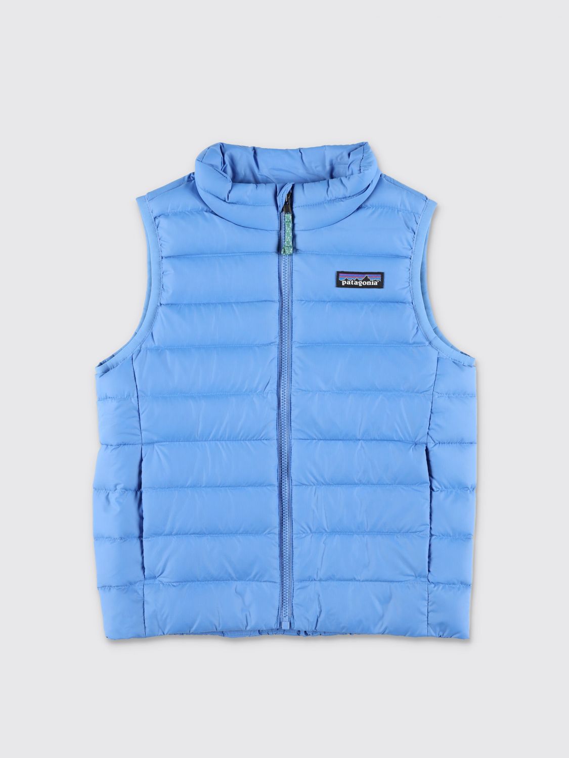Patagonia Down Sweater Vest In Blue