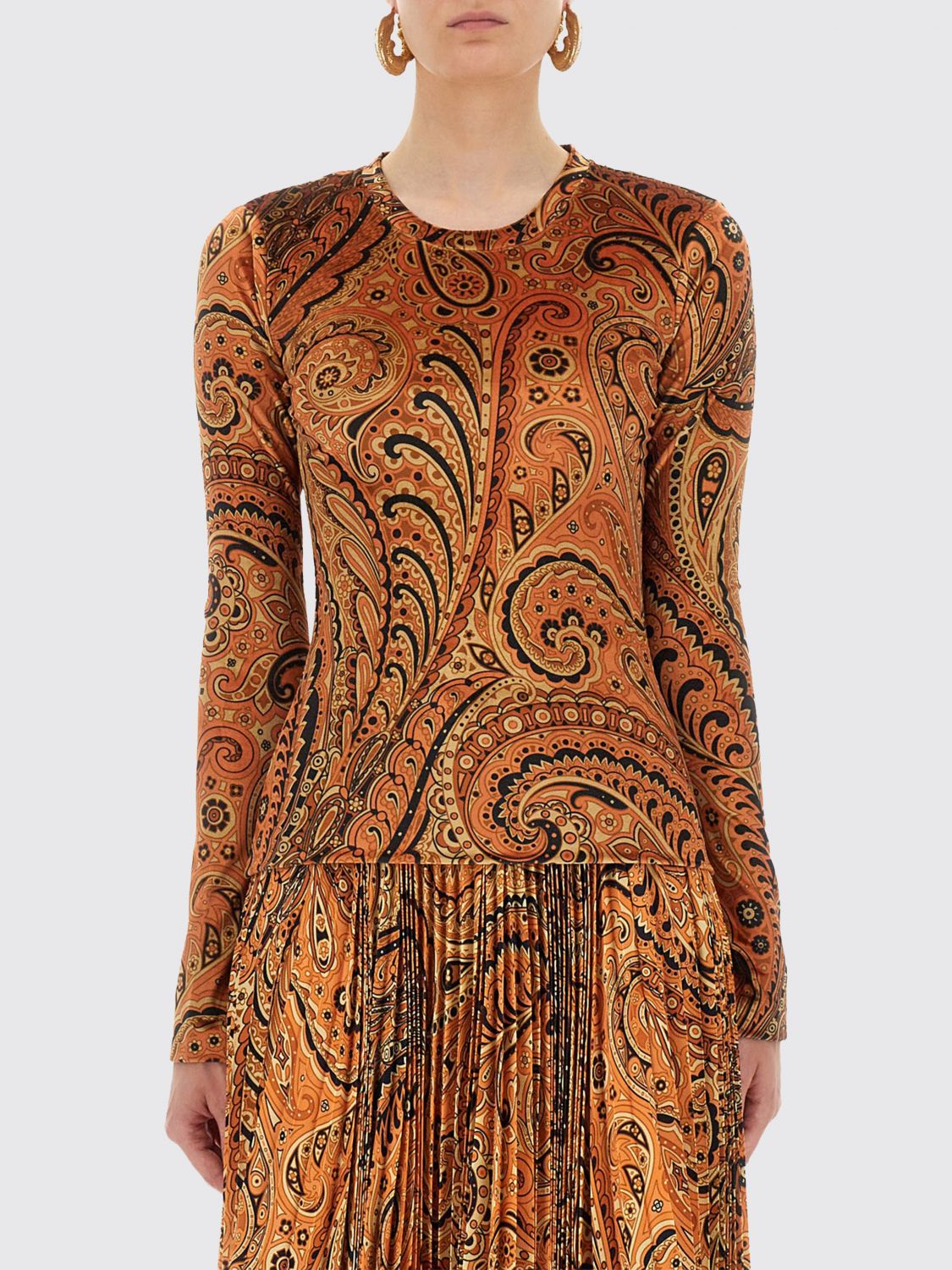 Etro Long Sleeve Fitted Paisley Top In Brown